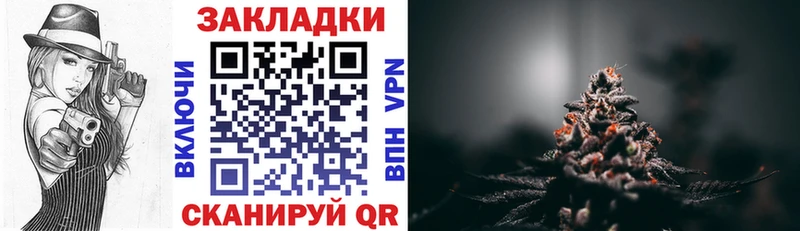  COCAIN Сясьстрой