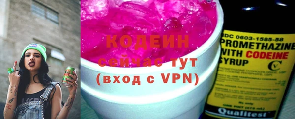индика Протвино