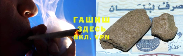 индика Протвино