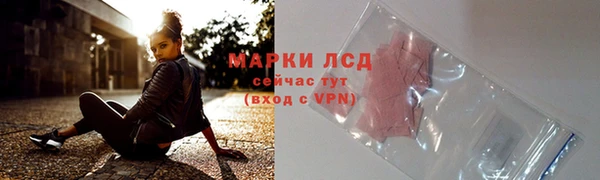 индика Протвино