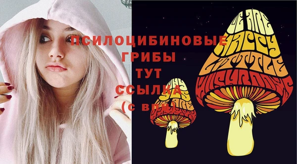 хмурый Приозерск