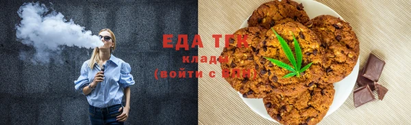 индика Протвино