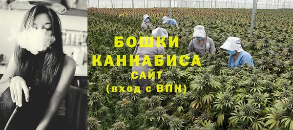 индика Протвино