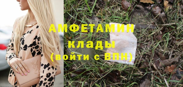 индика Протвино