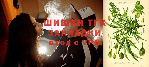 индика Протвино