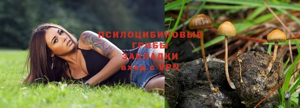 индика Протвино